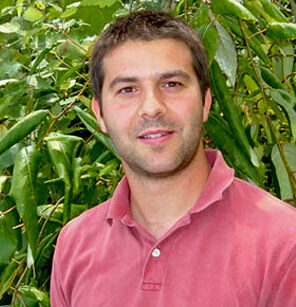 David Weston